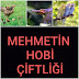 MEHMETİN HOBİ ÇİFTLİĞİ