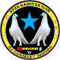 Star Kabutar Club HR