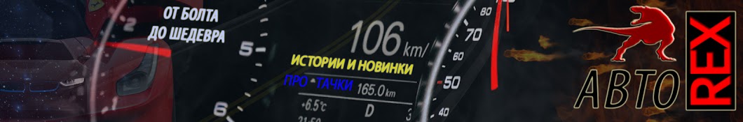 Авто REX