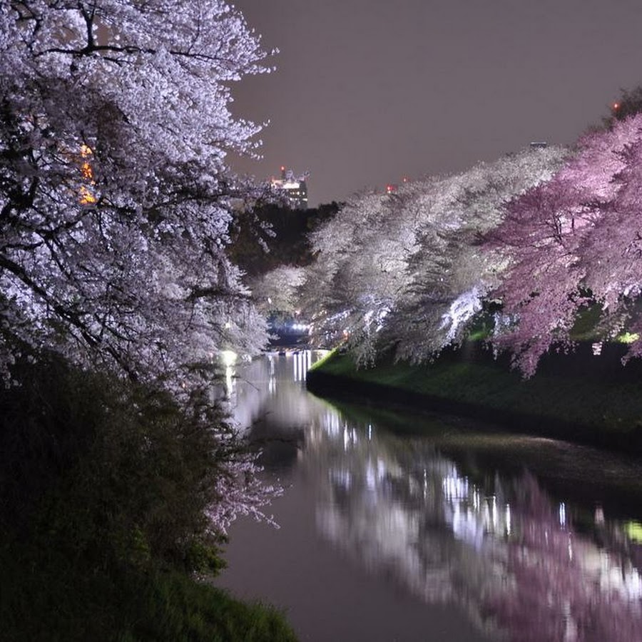 Ранняя Весна в Японии