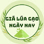 GIÁ LÚA GẠO NGÀY NAY