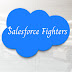 Salesforce Fighters 