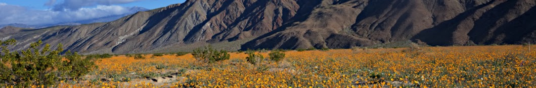 Anza-Borrego Foundation