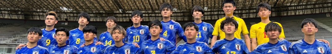 日本知的障がい者サッカー連盟