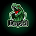 logo David Minecraft