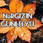 Nergizin günlüyü