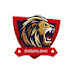 Emerging Lions Cricket Team