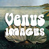 logo Venus Images