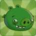 2k4 Green Pig