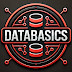 DataBasics 