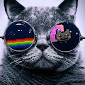 Artist Thumbnail