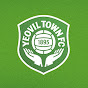 Yeovil Town Football Club