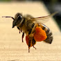 Les Abeilles de Titou en Provence