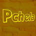 logo PchelaBR