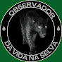 @OBSERVADOR DA VIDA NA SELVA