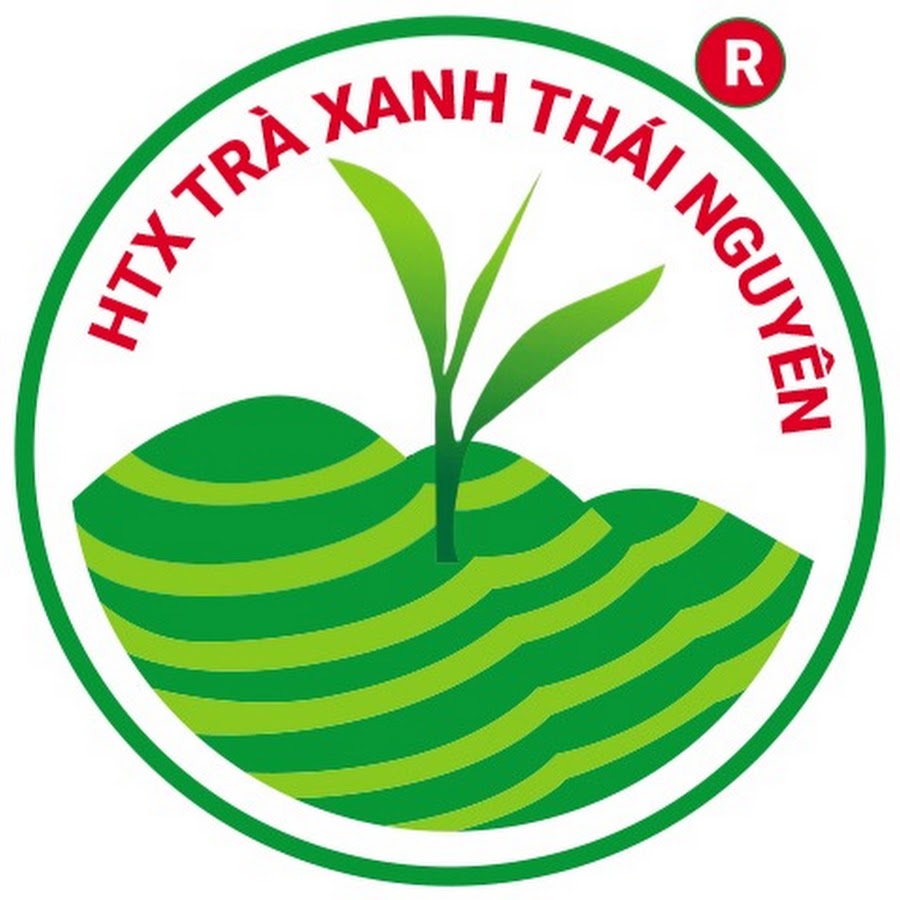 Trà Thái Nguyên