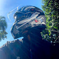 Artist Thumbnail