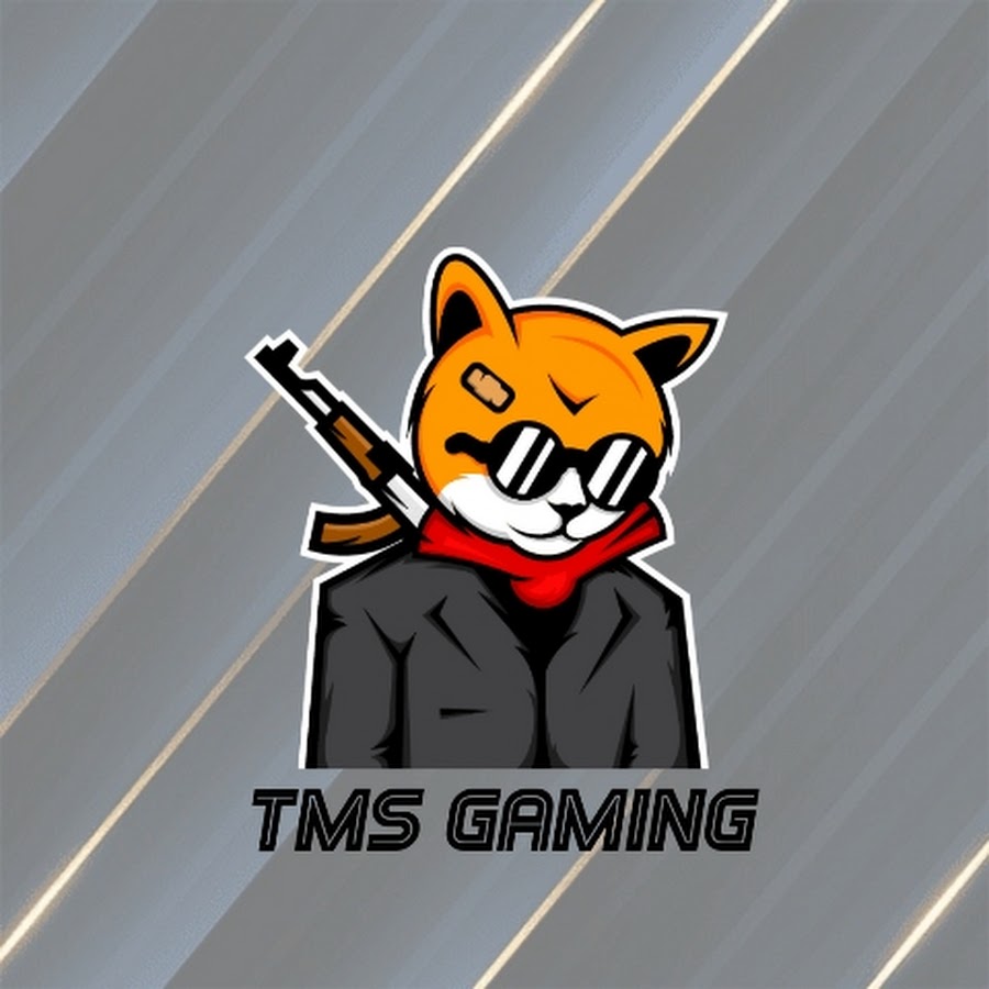 Tms N Gaming