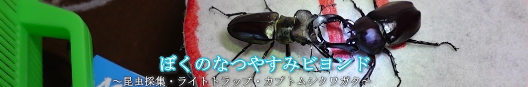 ぼくのなつやすみビヨンド-昆虫採集-