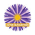 logo ASTER ELFOURTEEN