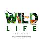 Wildlife Telecast 