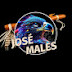 Jose Males ( cañitas ) official