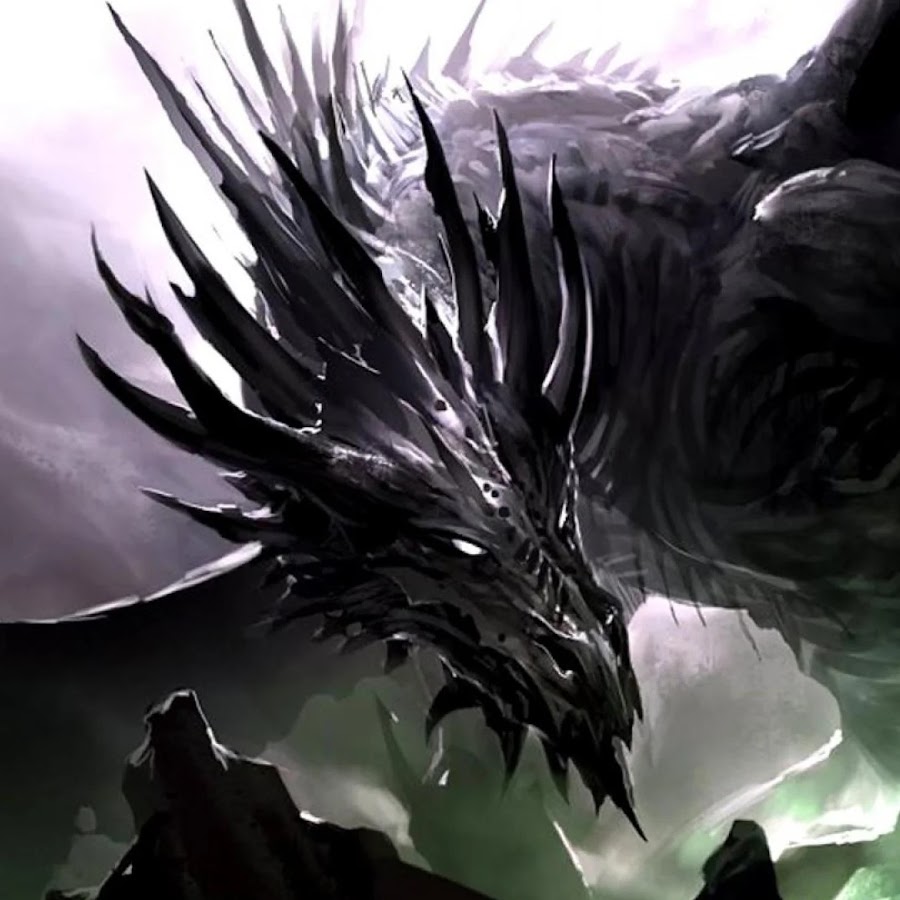 Западный чёрный дракон арт