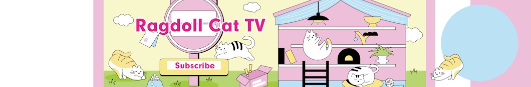 Ragdoll Cat TV