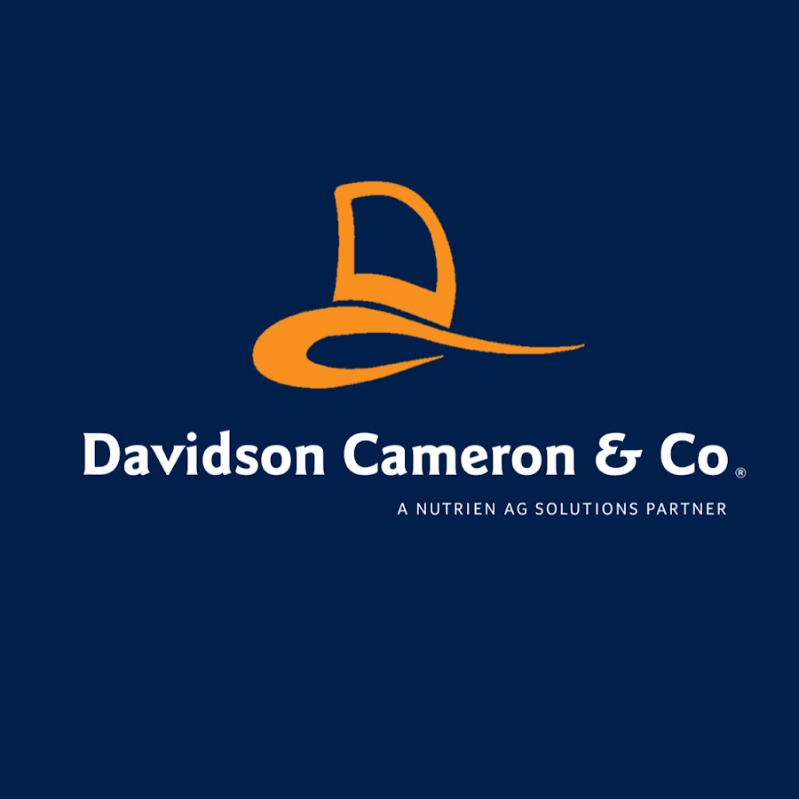 Davidson Cameron & Co - YouTube