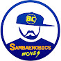 Bruno Carvalho - Sambaerobics Moves