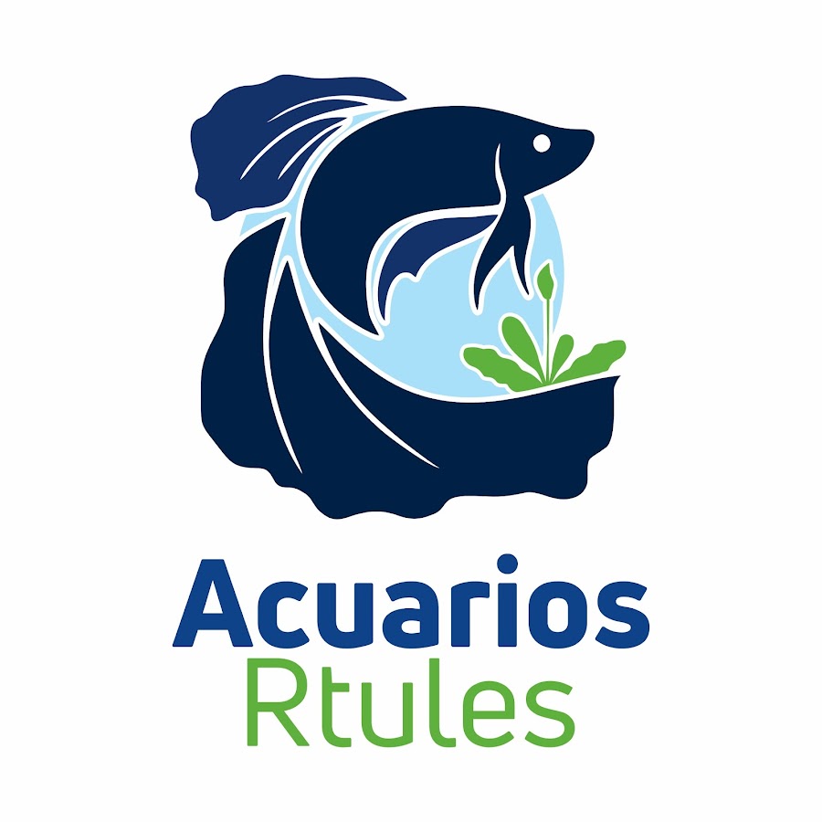 Acuarios Rtules - YouTube