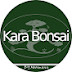 Kara Bonsai