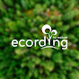 ecording