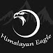 Himalayan Eagle