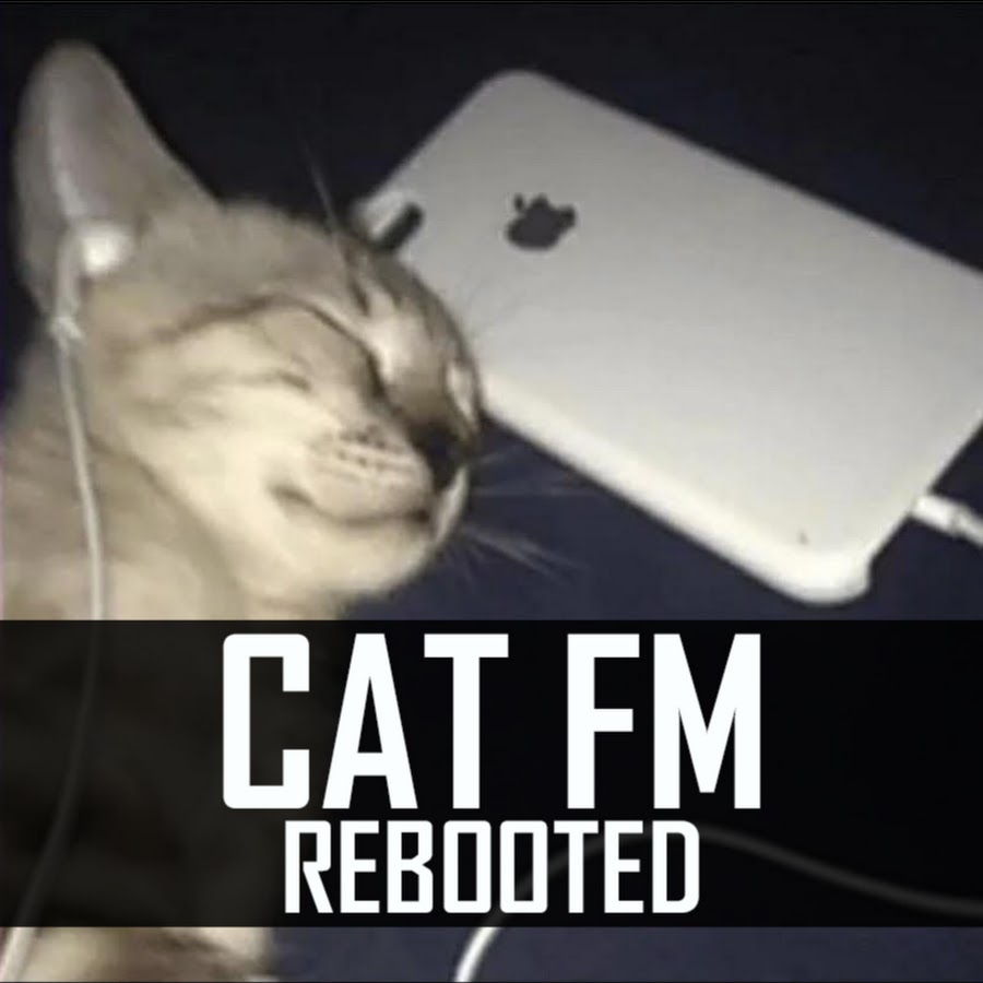 Cat fm outlet