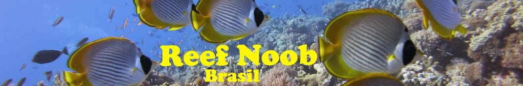 Reef Noob Brasil