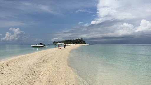 Kanal kapak resmi