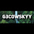 logo Gecowskyy