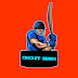 logo Cricket buddy