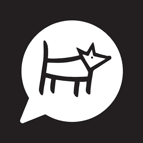 influencer profile picture