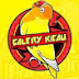 galery kicau