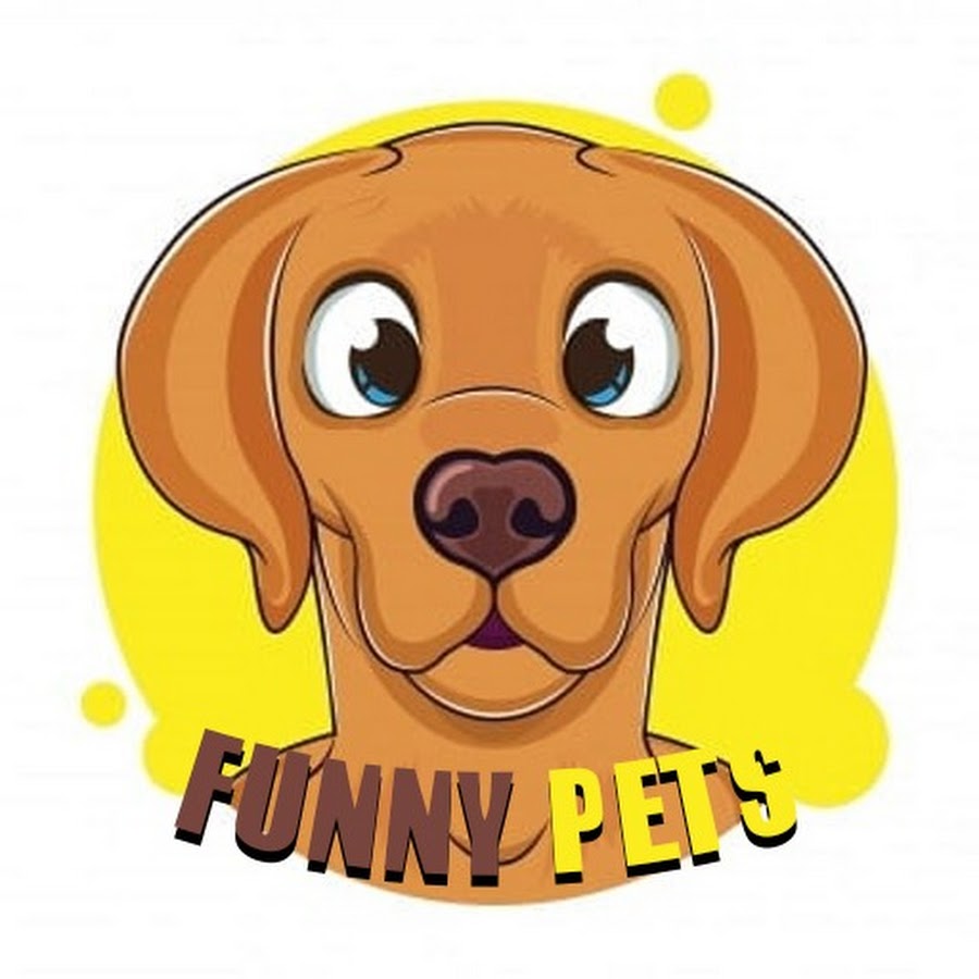 Funny Pets Moments - YouTube