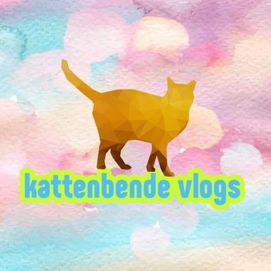 Kattenbende Vlogs @kattenbendevlogs