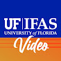 IFAS Video