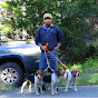 High Country Beagles