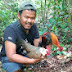 AYAM HUTAN SUMATERA RIAU