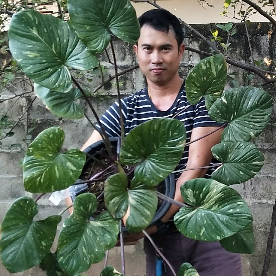 Ready go to ... https://www.youtube.com/channel/UC0WcFun77wld-unAAs9RJ4A [ 3T à¸à¸µà¹à¸à¹à¸­à¸]
