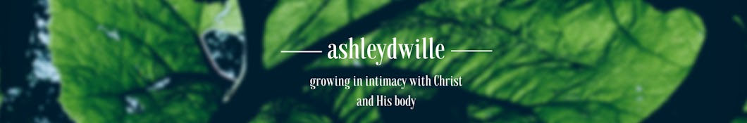 Ashley D. Wille