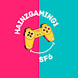 hainzgaming1