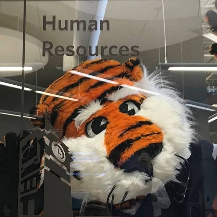 Auburn University Human Resources